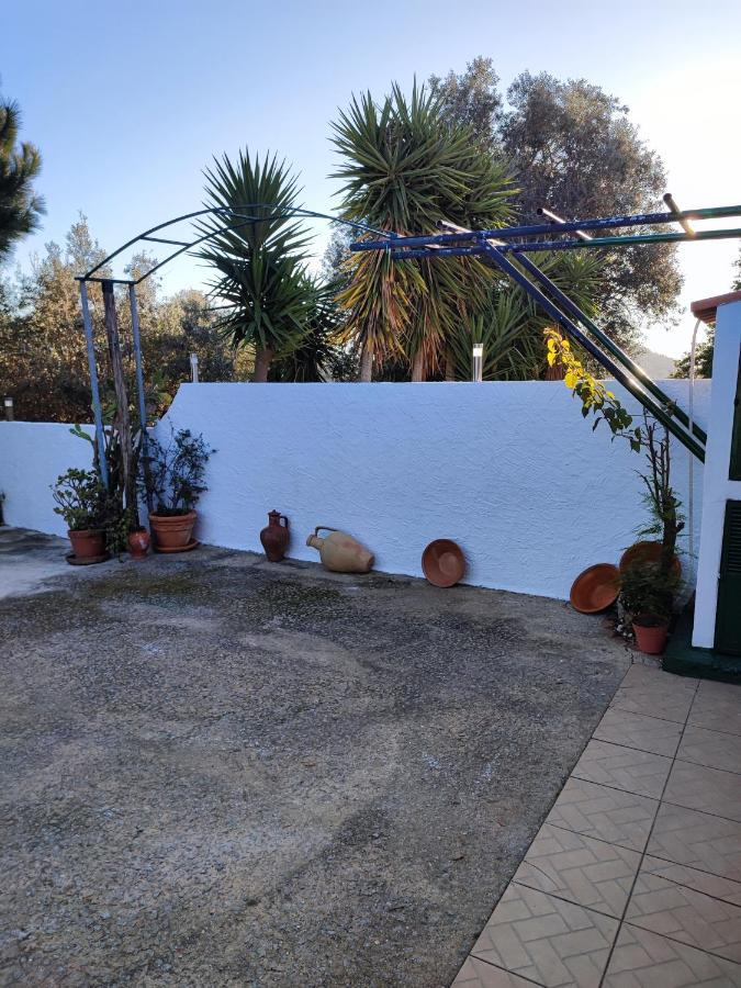 My House - Casa Charme Βίλα Monchique Εξωτερικό φωτογραφία