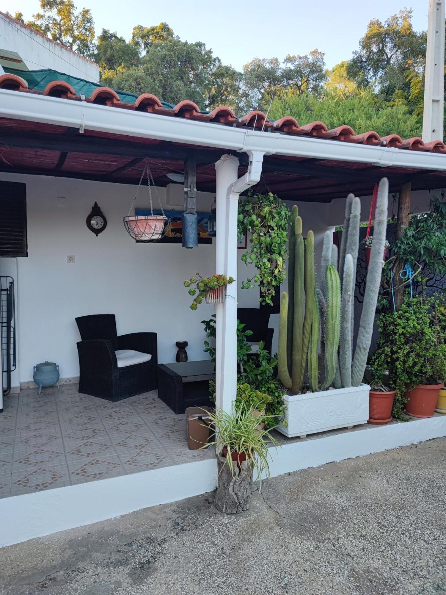 My House - Casa Charme Βίλα Monchique Εξωτερικό φωτογραφία
