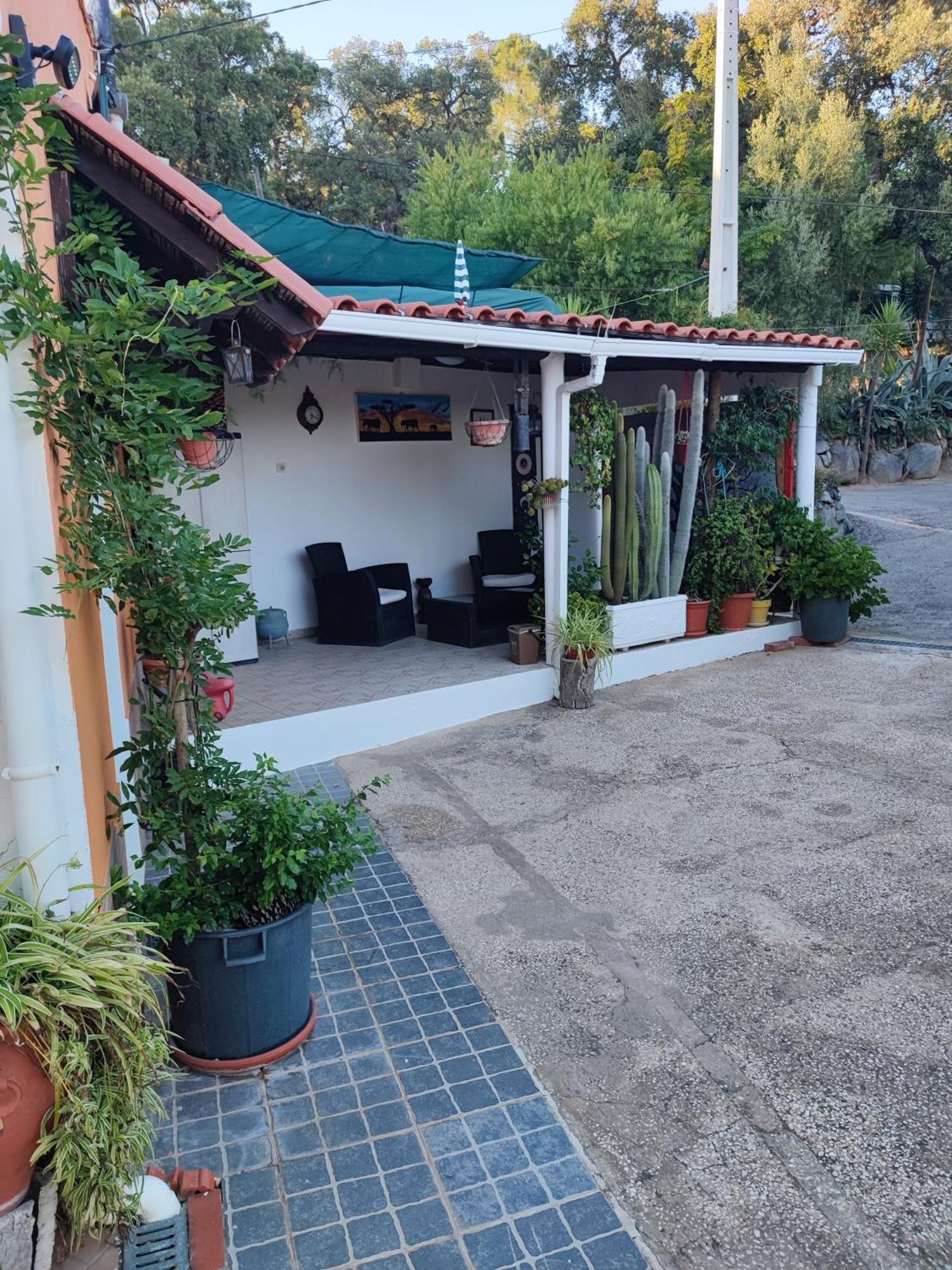 My House - Casa Charme Βίλα Monchique Εξωτερικό φωτογραφία
