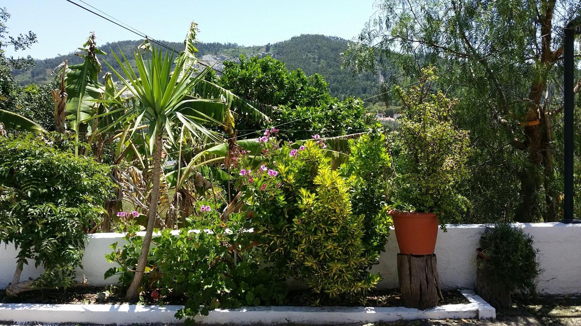 My House - Casa Charme Βίλα Monchique Εξωτερικό φωτογραφία
