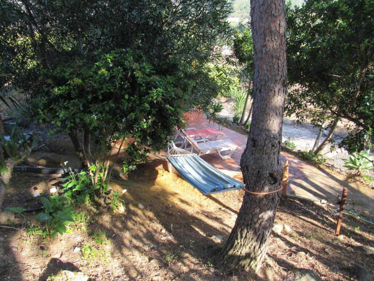 My House - Casa Charme Βίλα Monchique Εξωτερικό φωτογραφία
